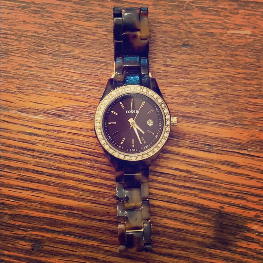 Tortoise Fossil Watch